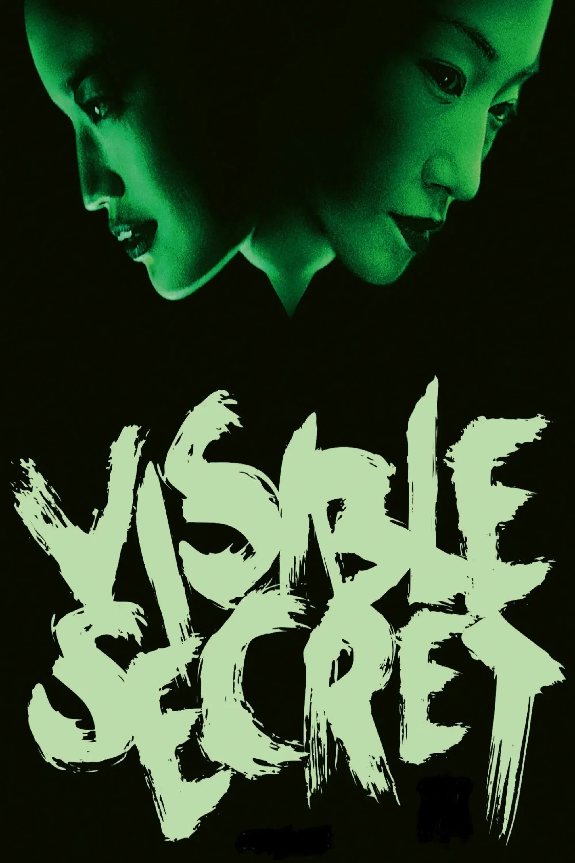 Poster of the movie Visible Secret
