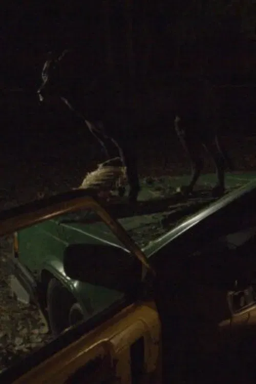 Poster of the movie Nothing Runs Like a Deere