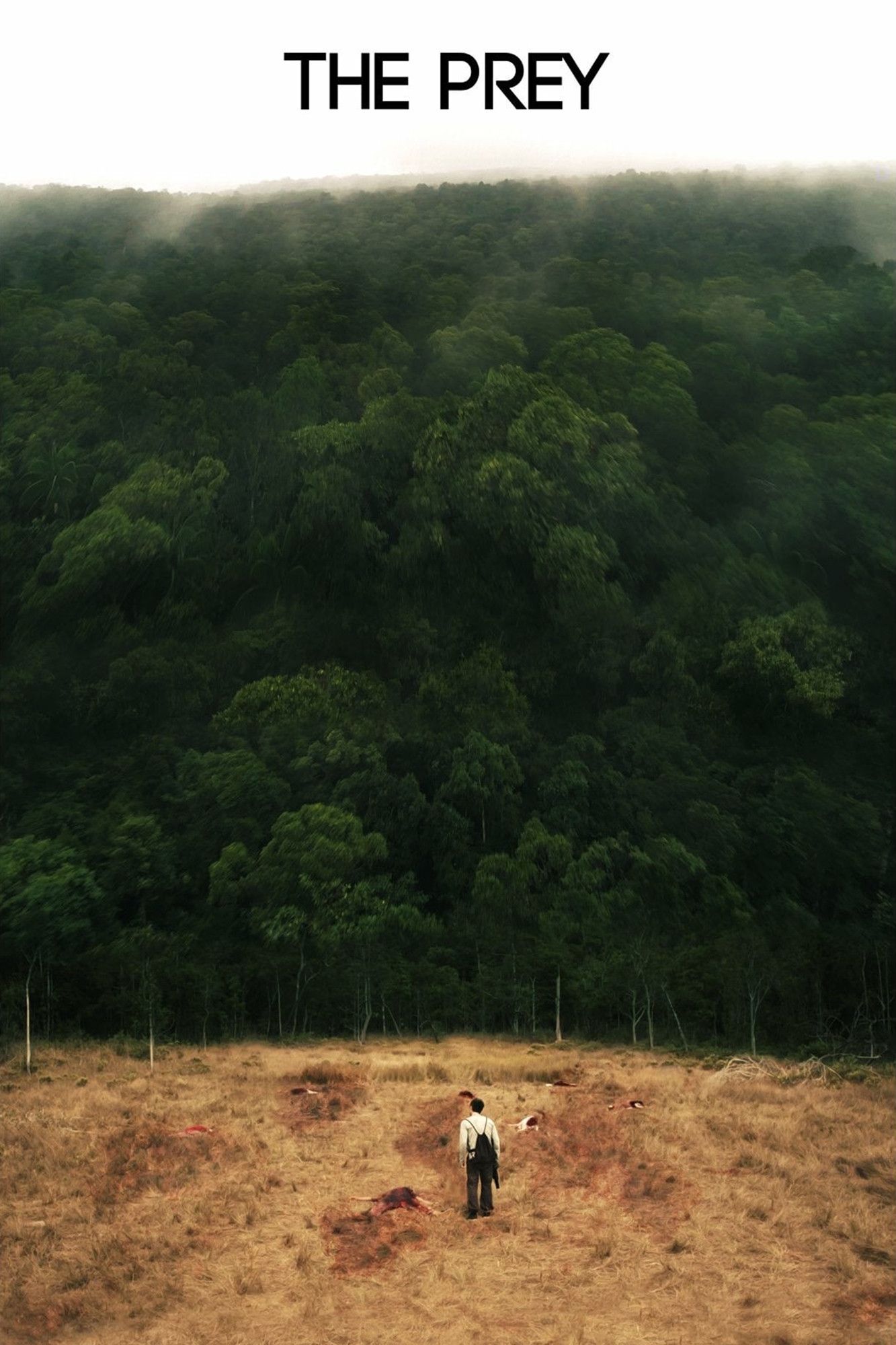 Poster of the movie The Prey