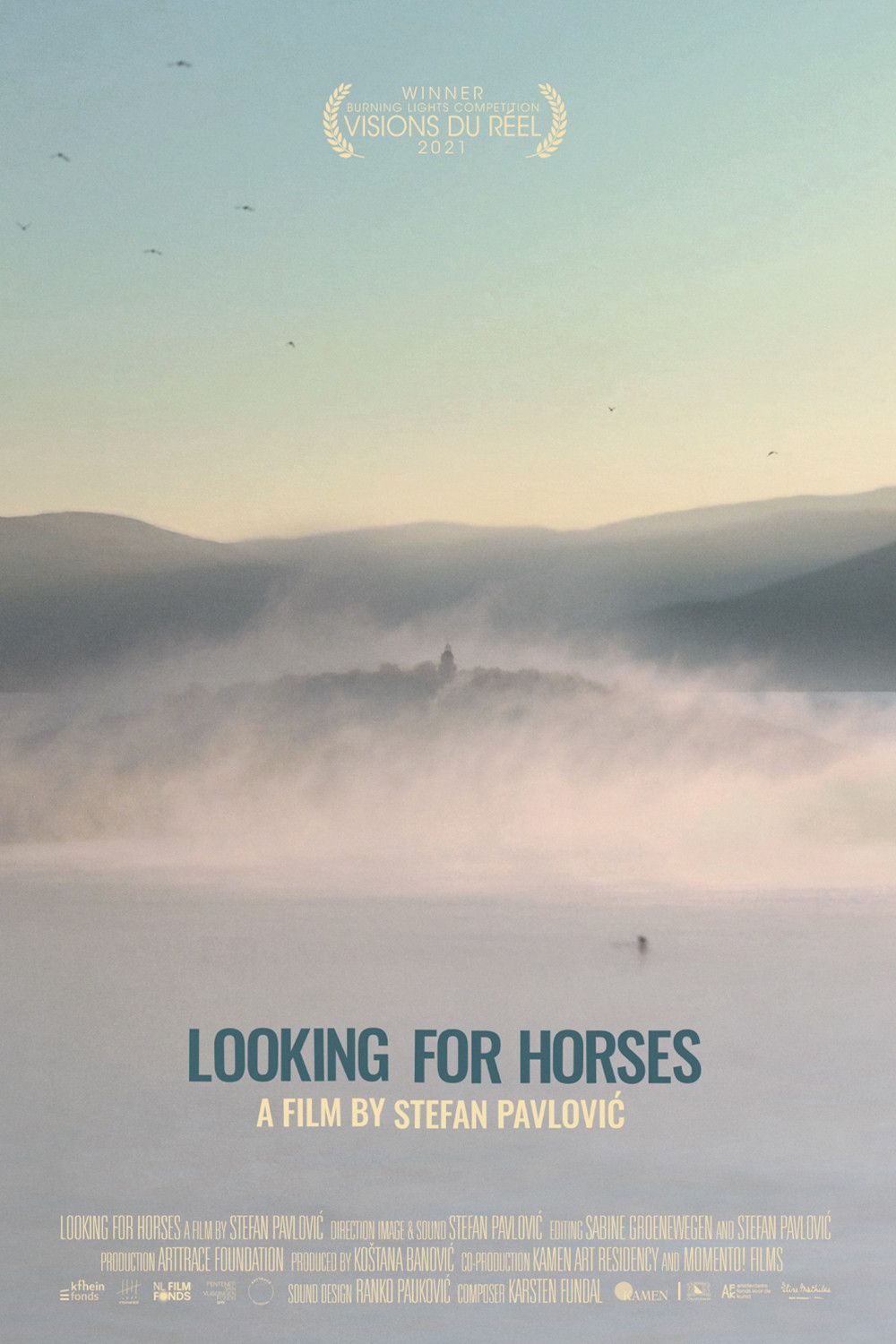 Poster of the movie Looking for Horses