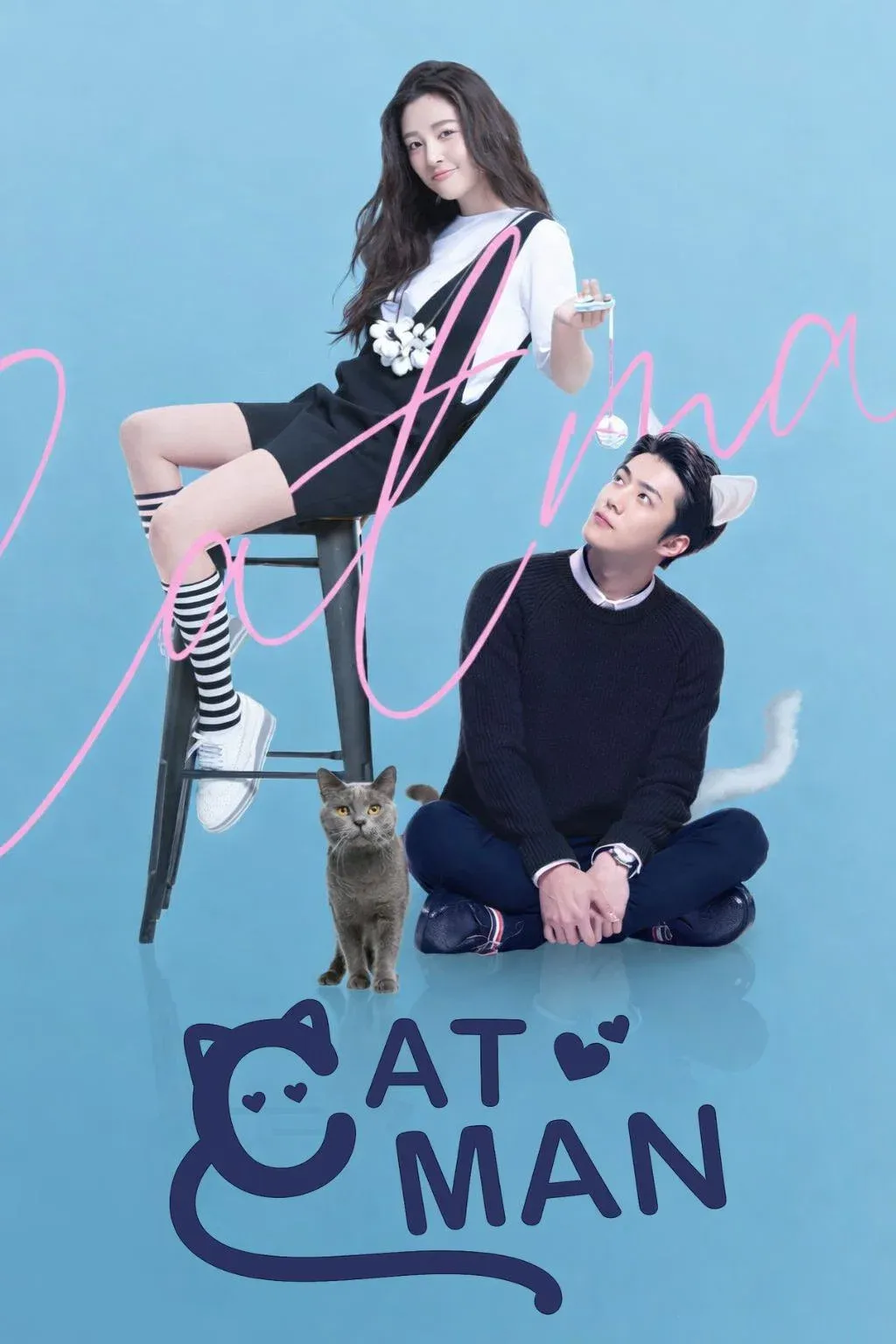 Poster of the movie Catman