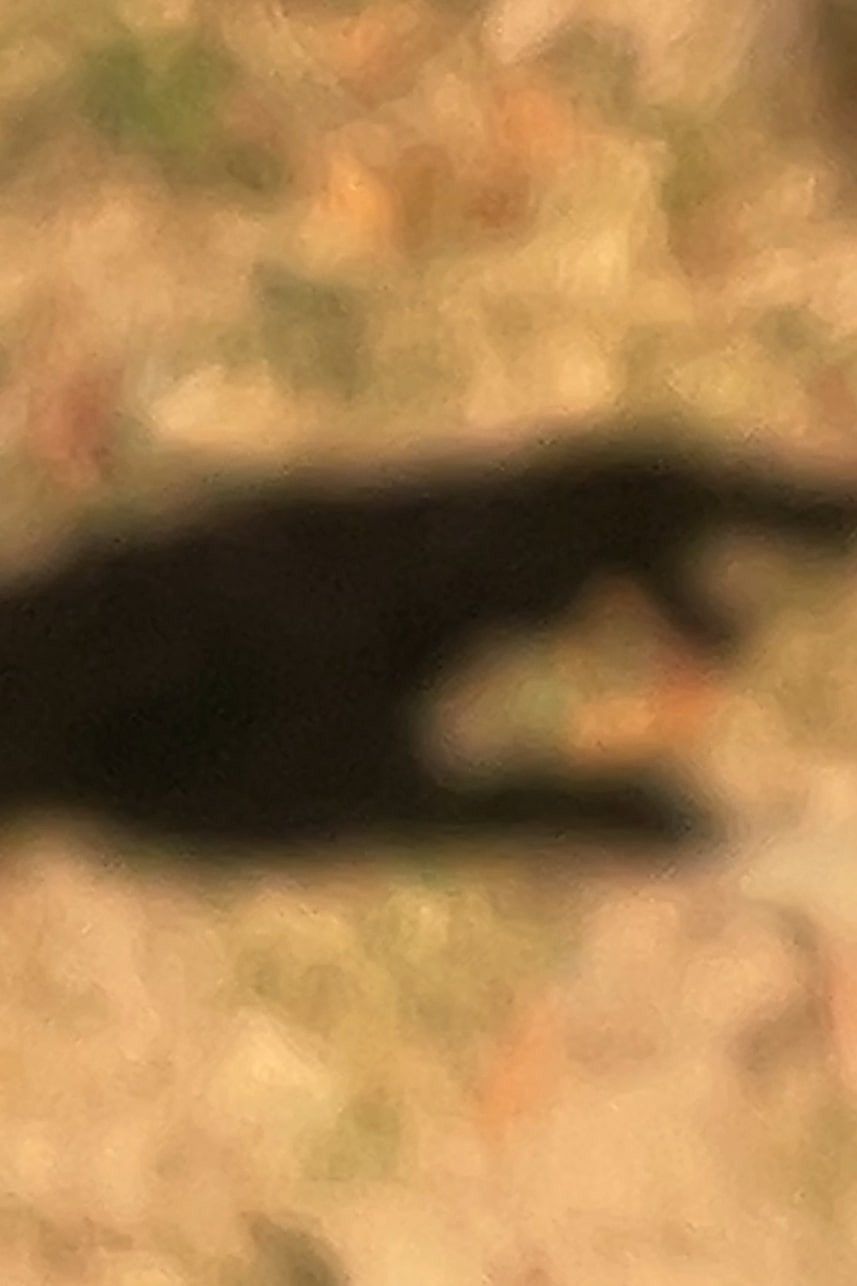 Poster of the movie Provocation