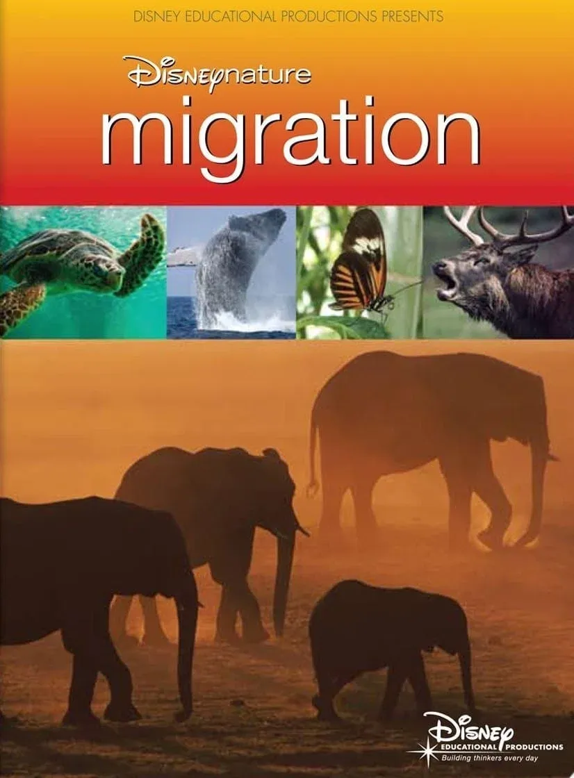 Poster for Disneynature: Migration