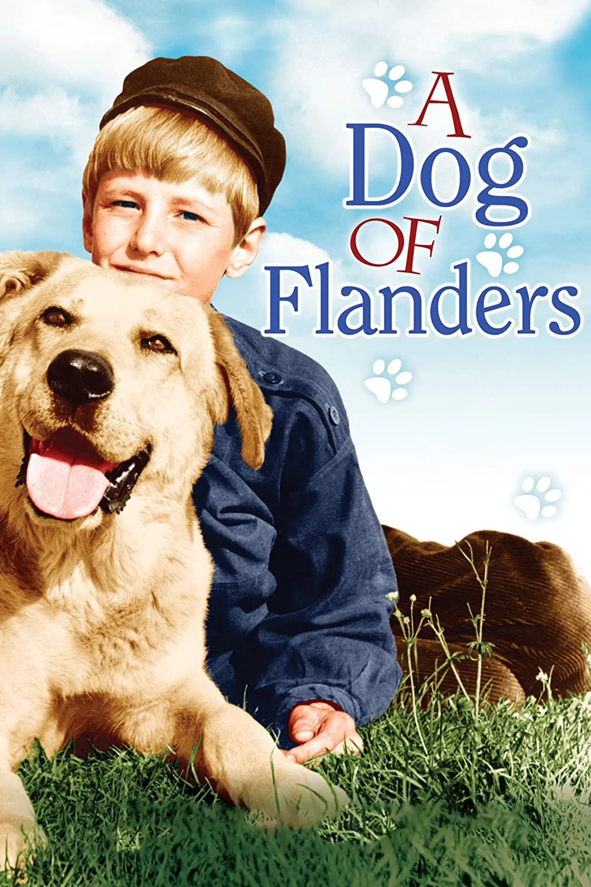 Poster of the movie A Dog of Flanders