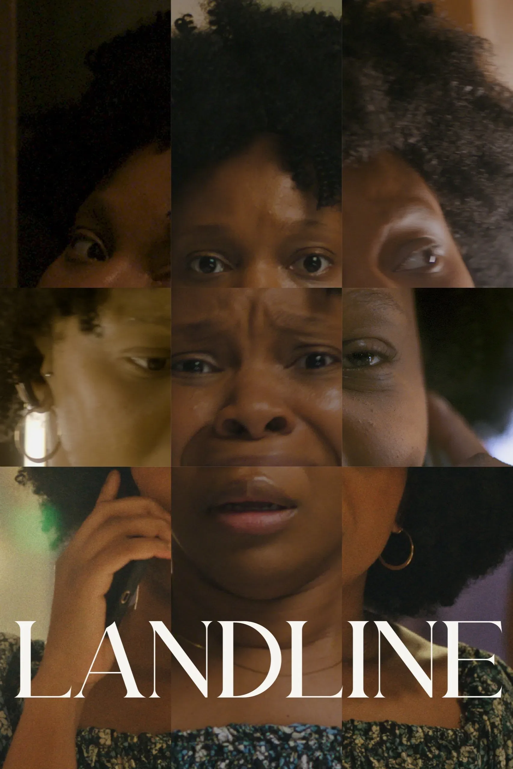Poster of the movie Landline