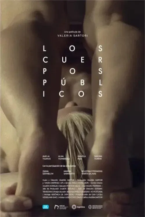 Poster for Public Bodies