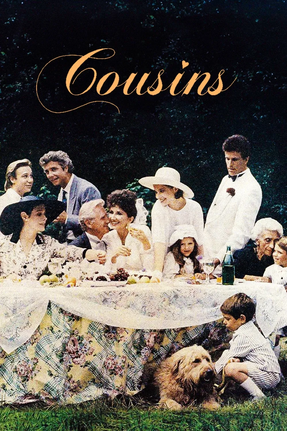 Poster of the movie Cousins