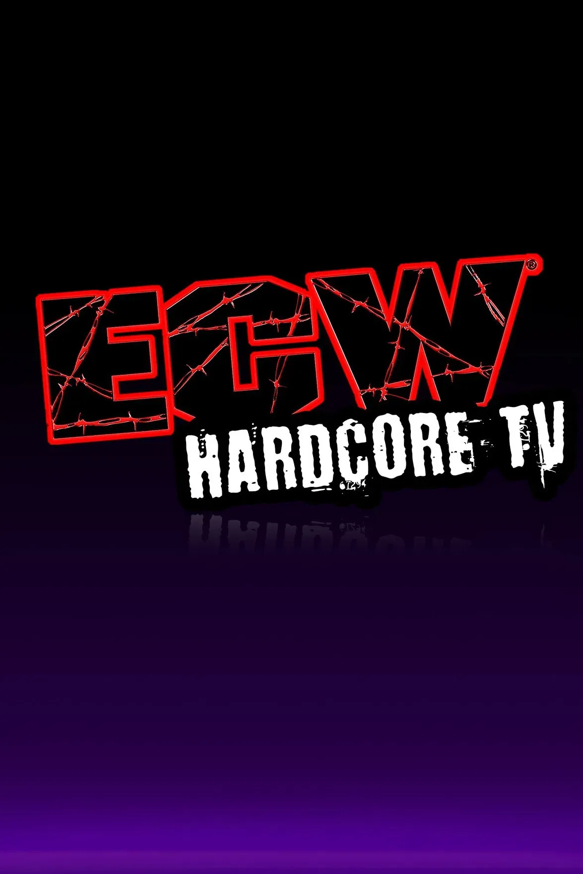 Poster of ECW Hardcore TV