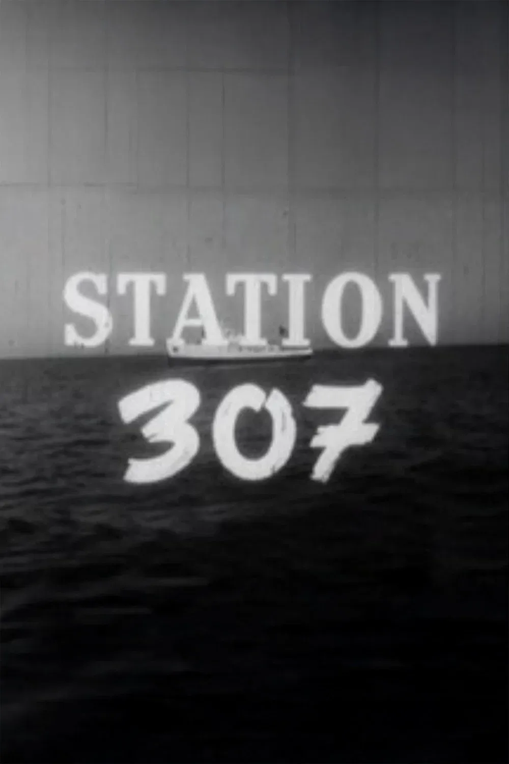 Poster for Station 307