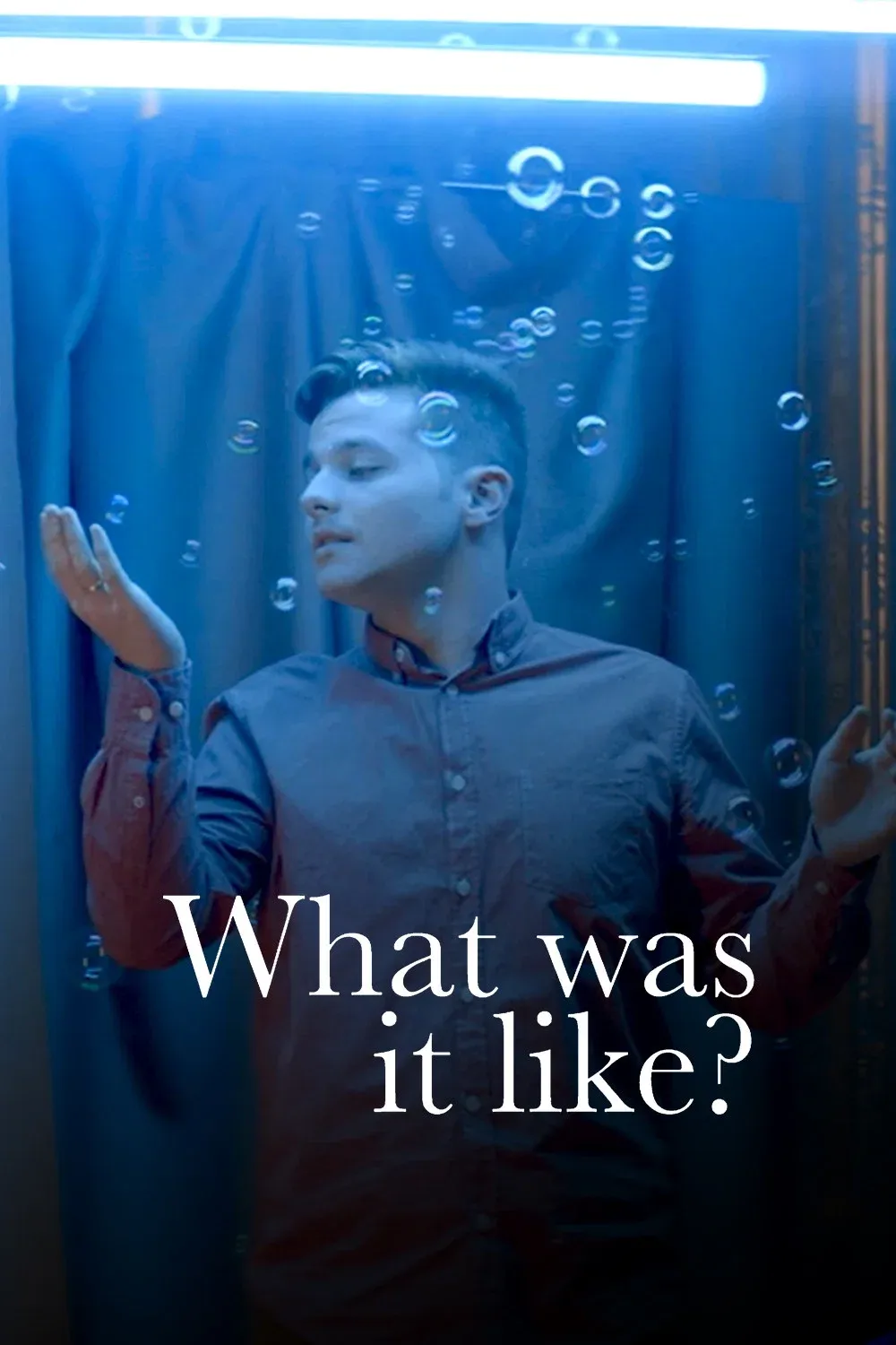 Poster for What Was It Like?