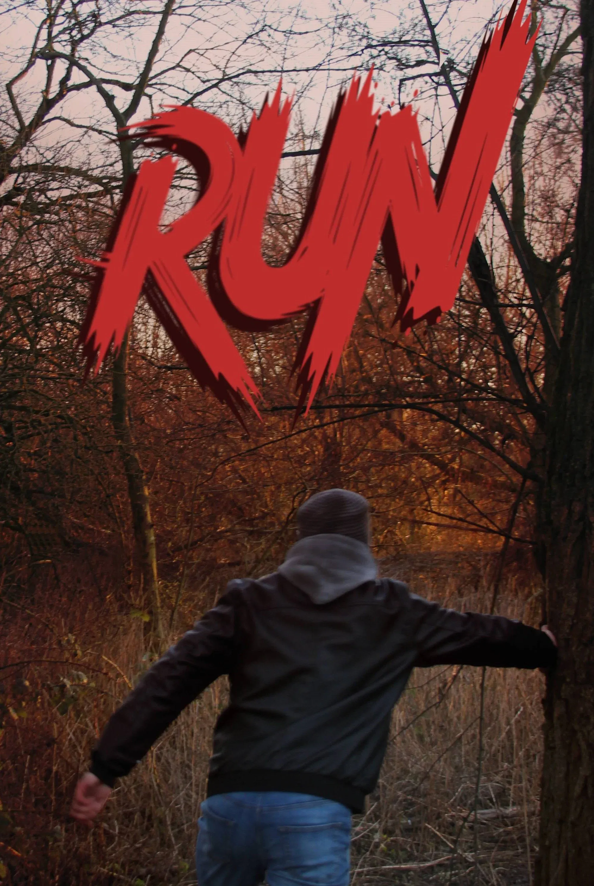 Poster for RUN