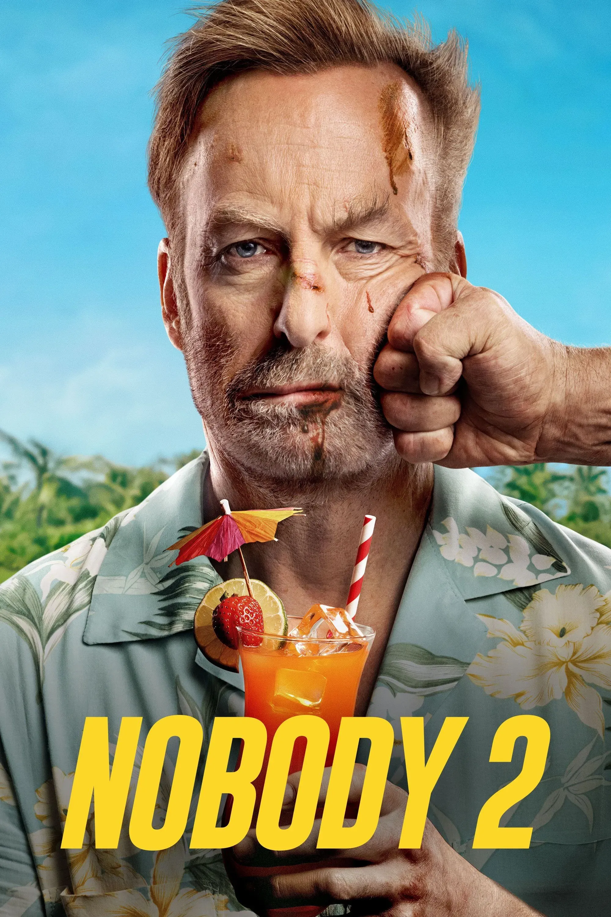 Poster of the movie Nobody 2
