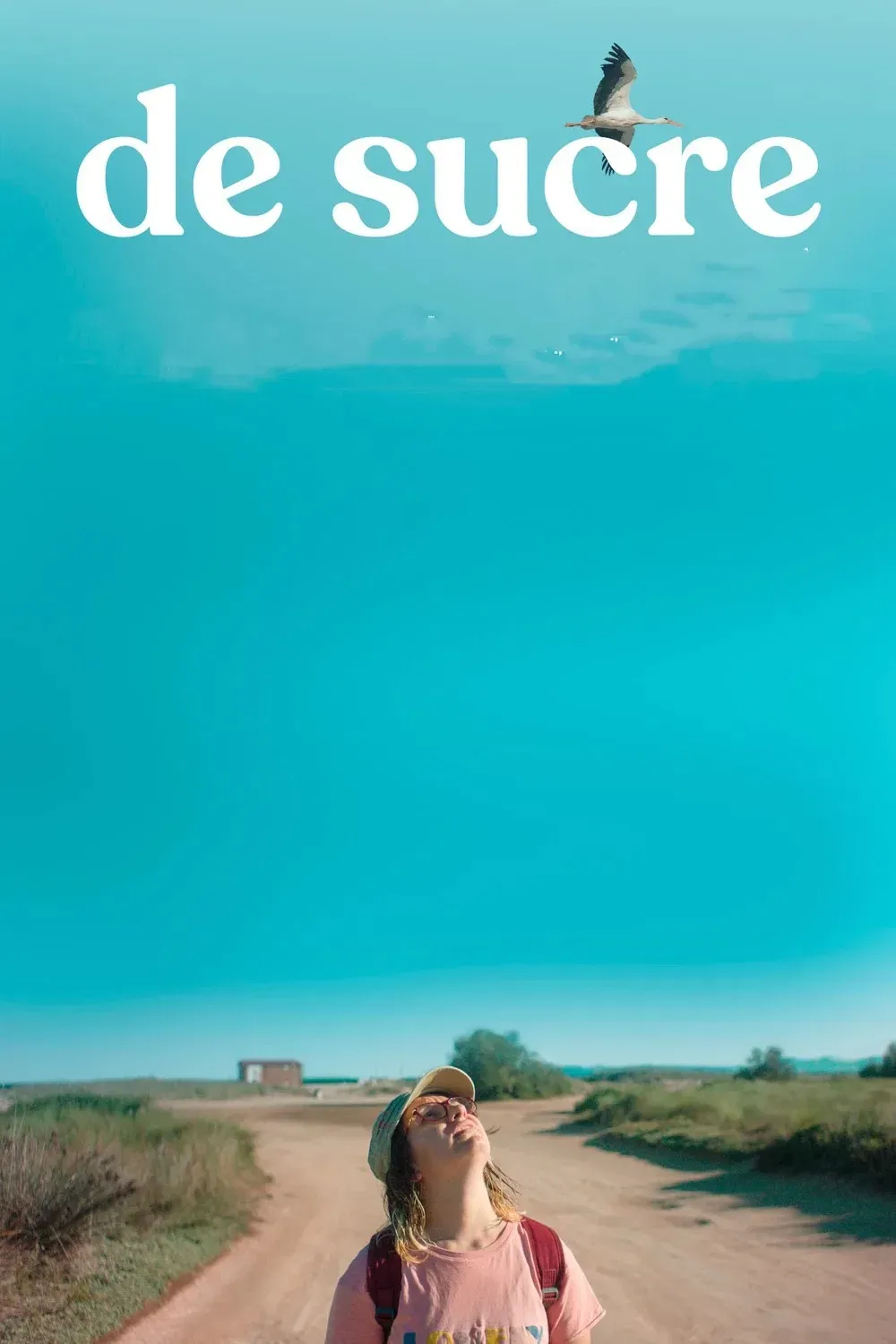 Poster of the movie Made of Sugar