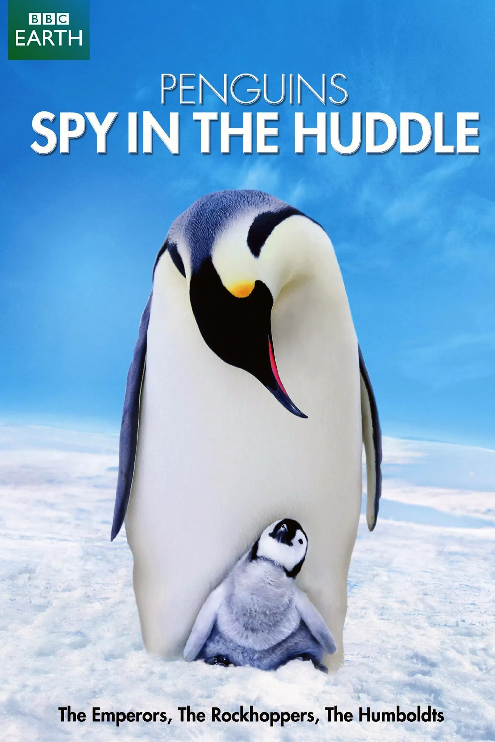 Poster of Penguins: Spy in the Huddle