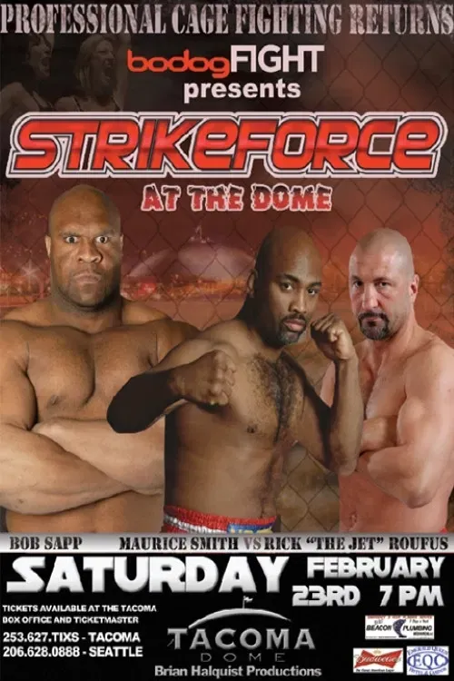 Poster of the movie Strikeforce: At the Dome