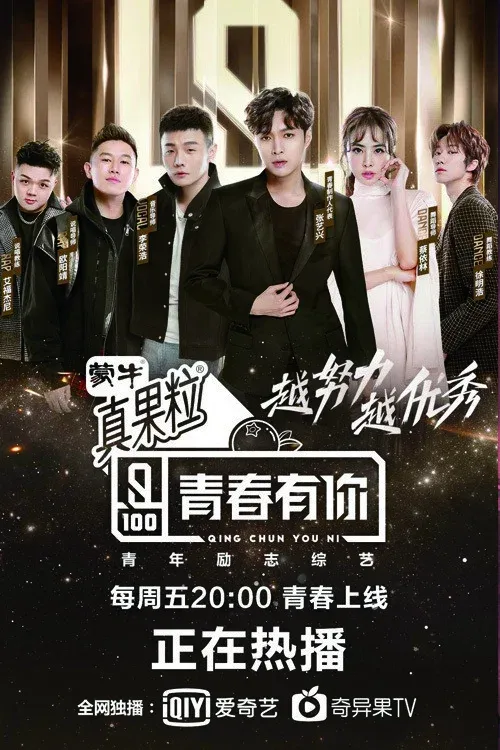 Poster of Youth With You