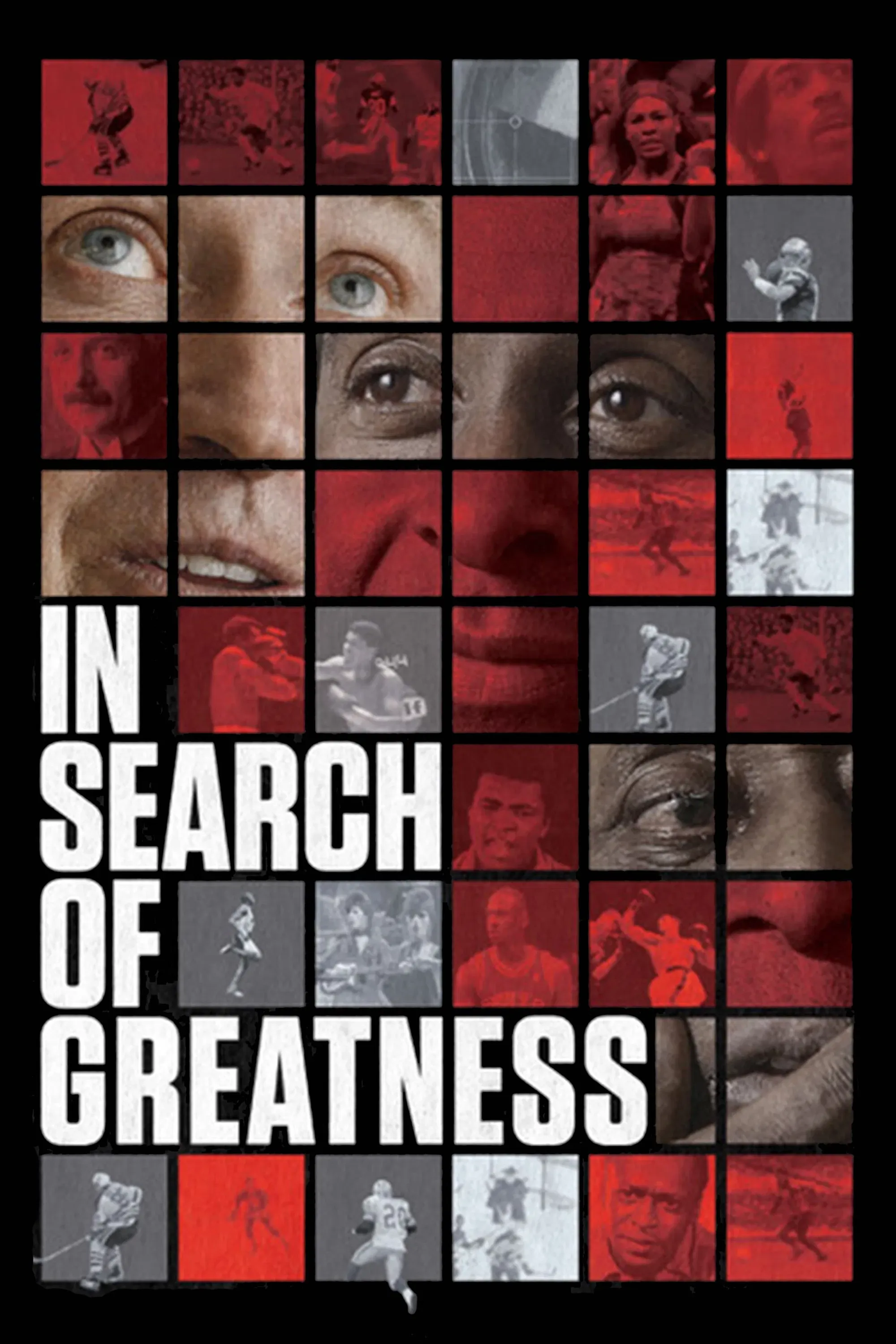 Poster of the movie In Search of Greatness