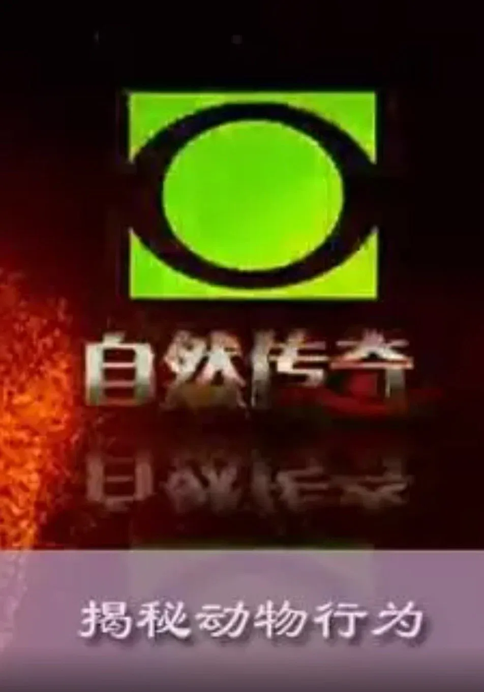 Poster of 自然传奇