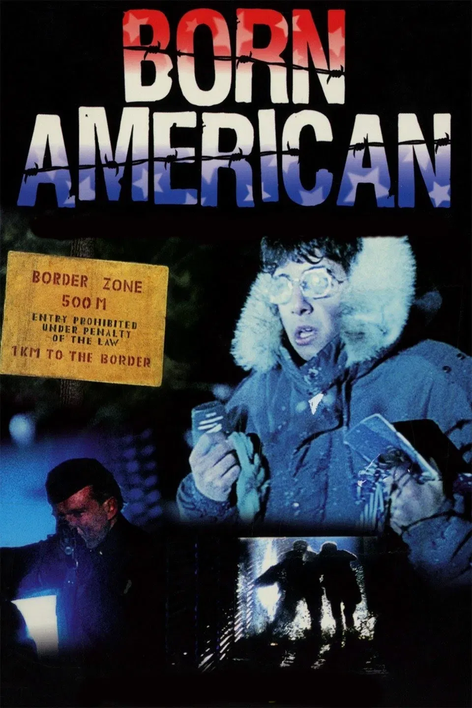 Poster of the movie Born American