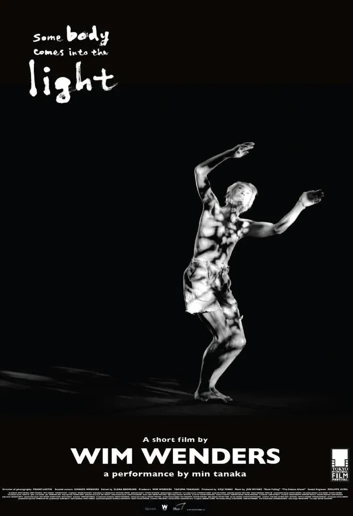 Poster of the movie some body comes into the light