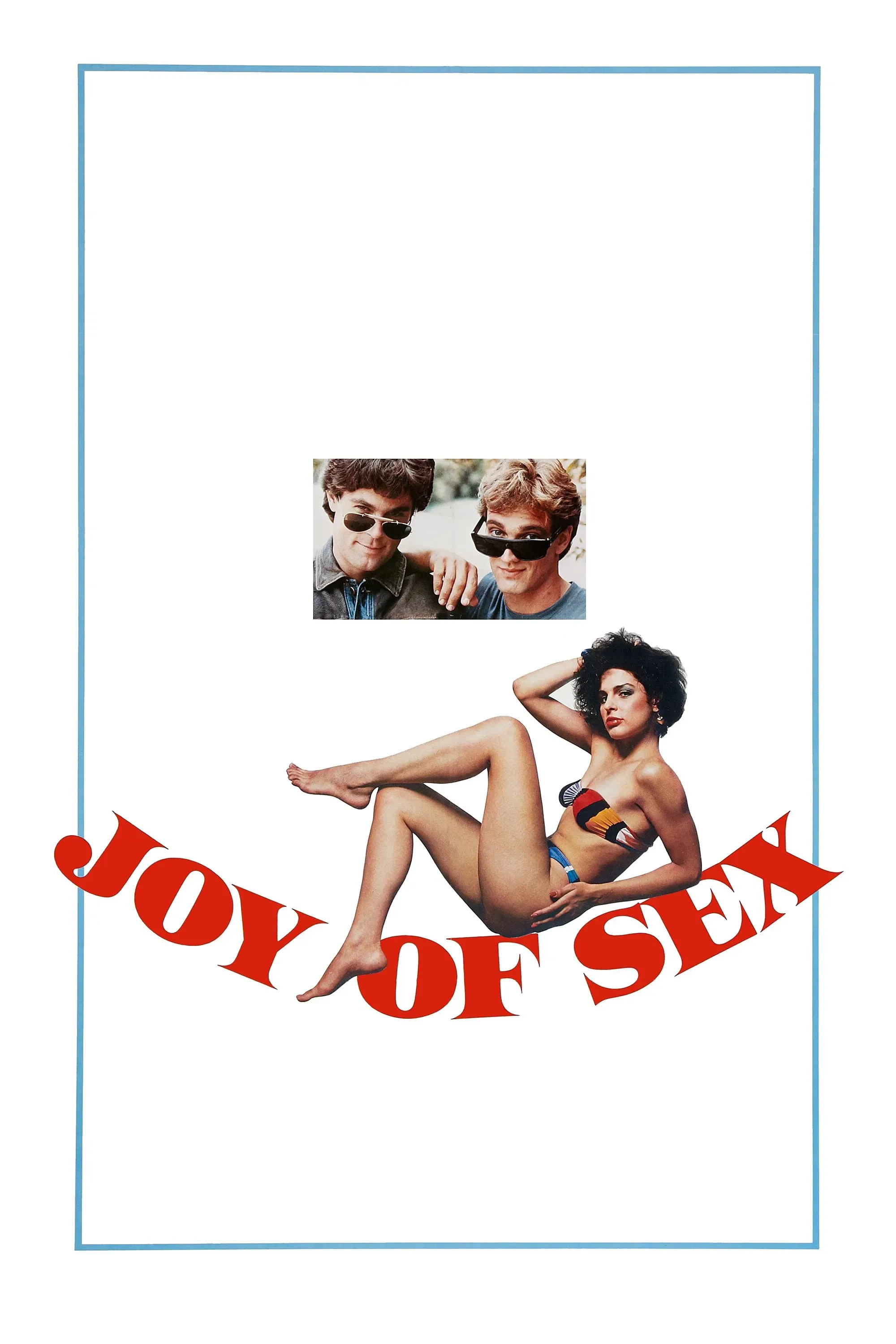 Poster of the movie Joy of Sex