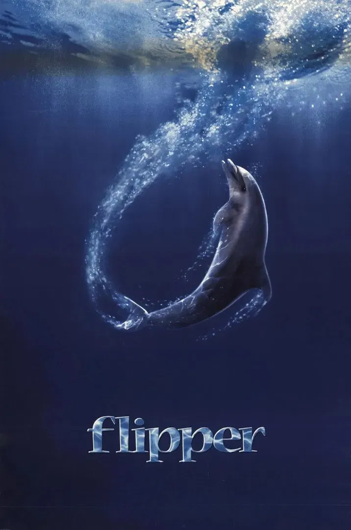 Poster of the movie Flipper