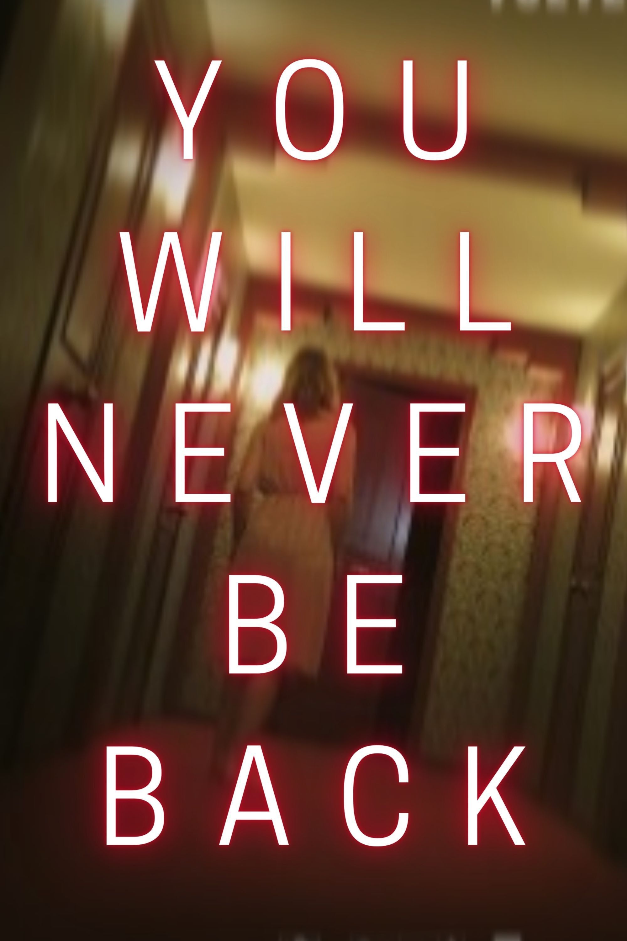 Poster of the movie You Will Never Be Back