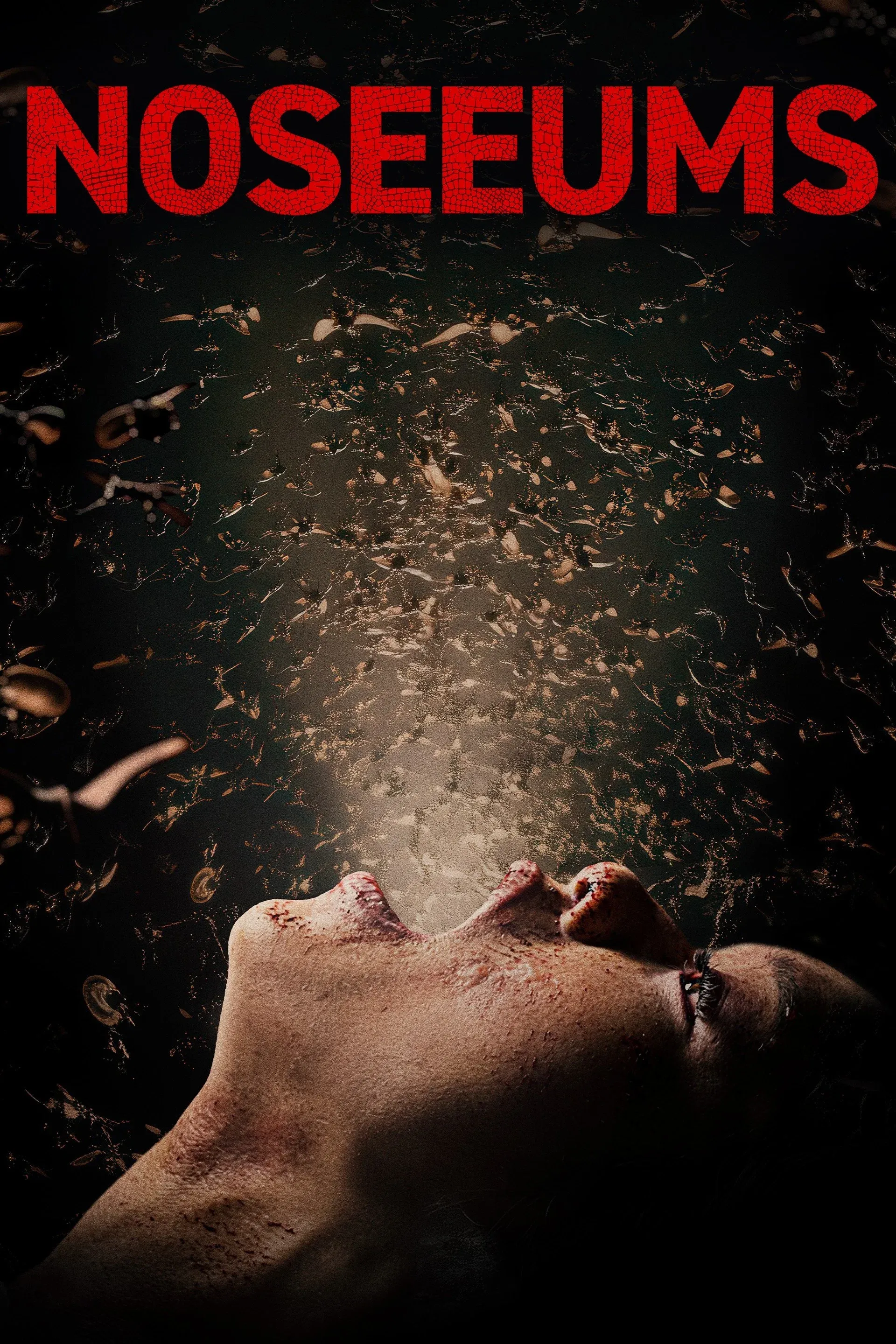 Poster for Noseeums