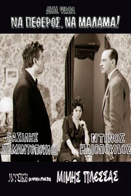 Poster of the movie Father-in-Law With a Heart of Gold