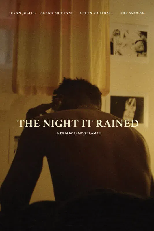 Poster of the movie The Night It Rained