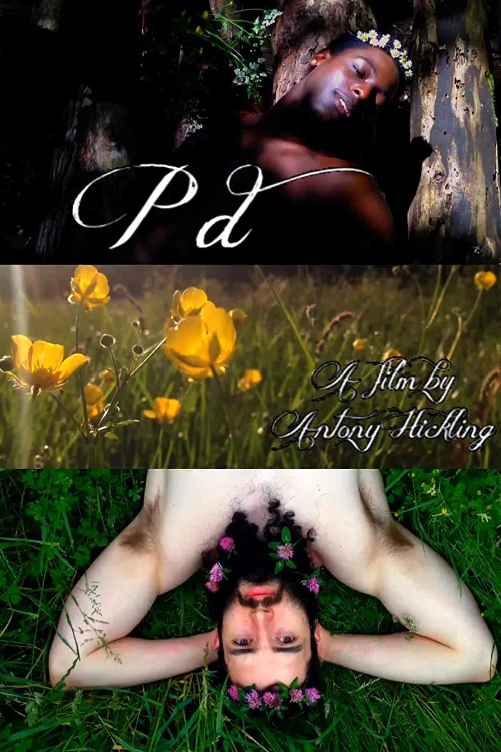 Poster of the movie P.D