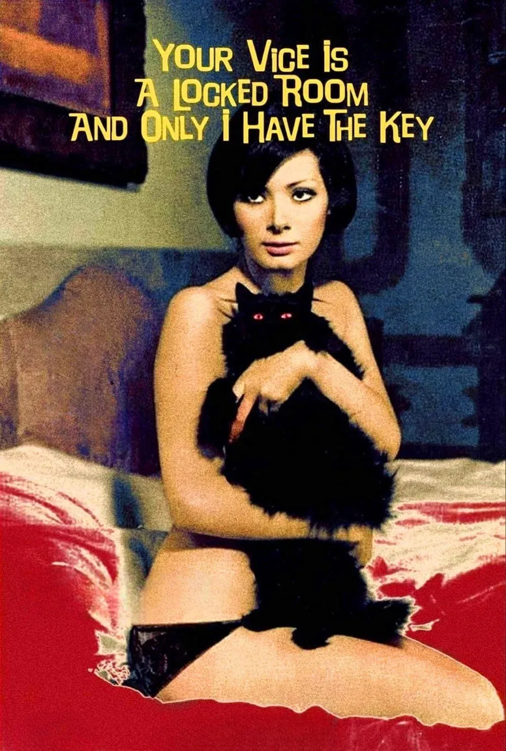 Poster of the movie Your Vice Is a Locked Room and Only I Have the Key