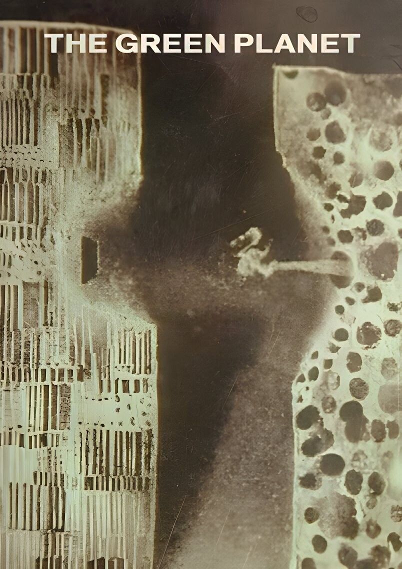 Poster of the movie The Green Planet