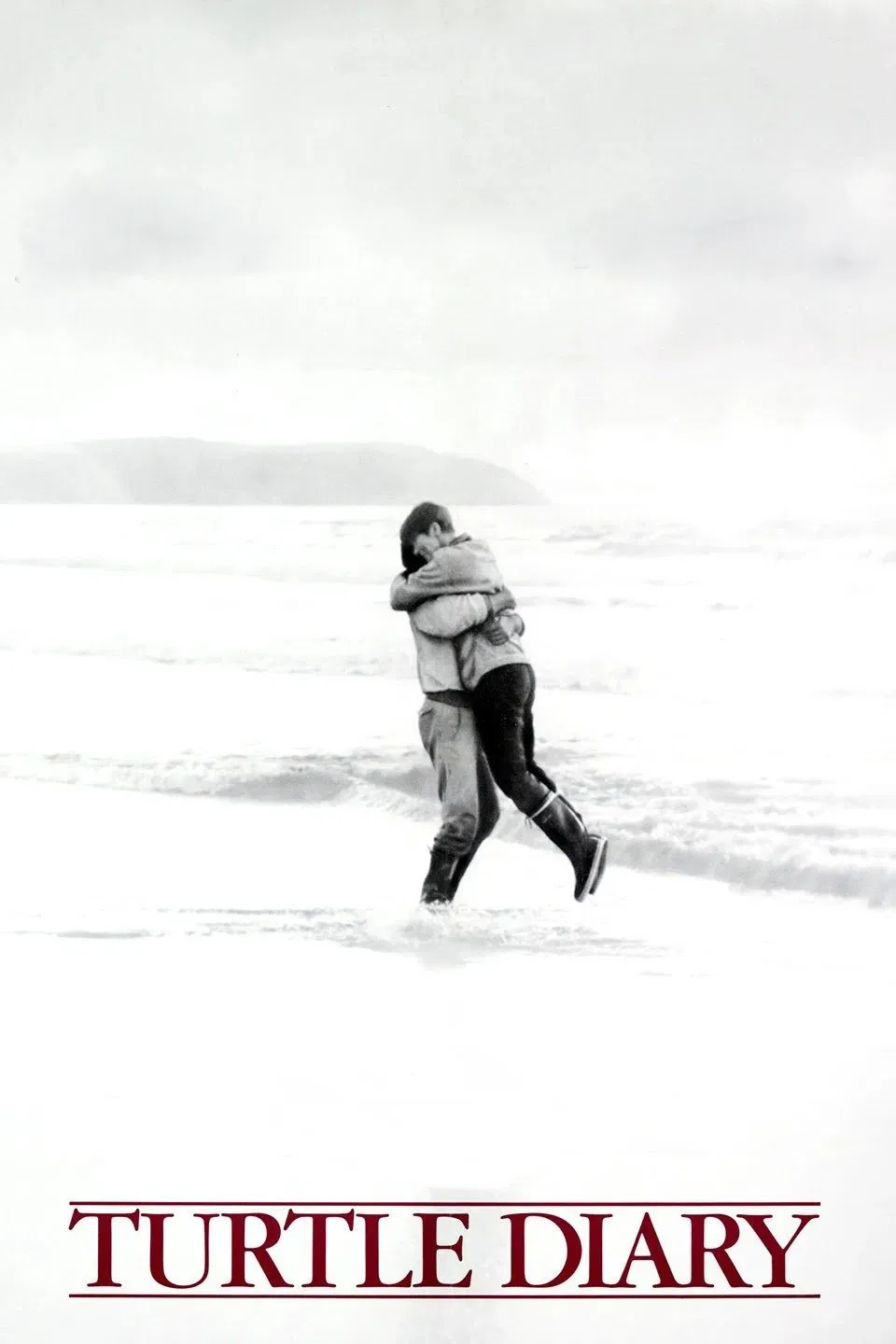 Poster of the movie Turtle Diary