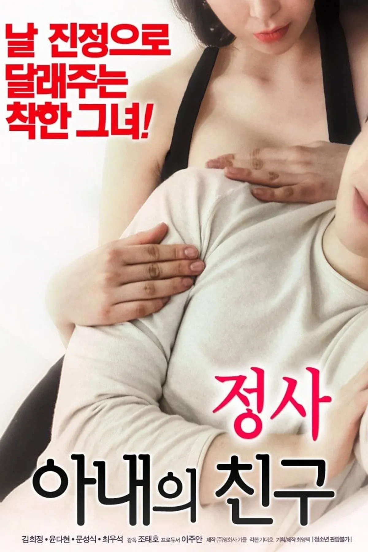 Poster for An Affair: My Wife's Friend