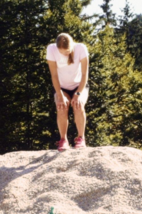 Poster of the movie fly