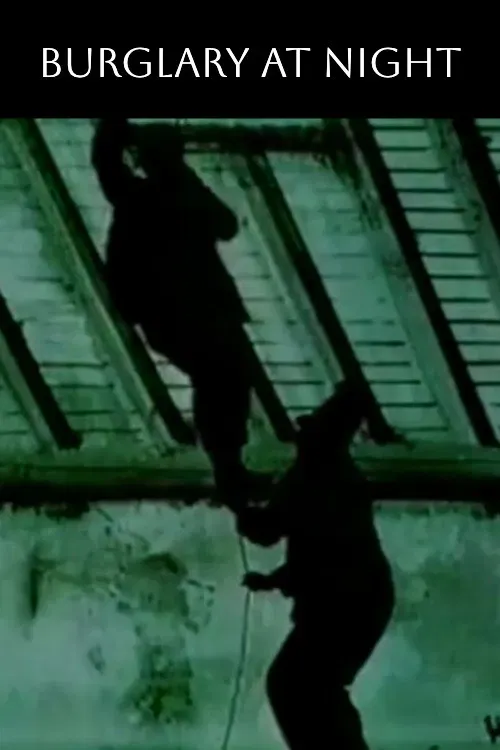 Poster of the movie Burglary at Night