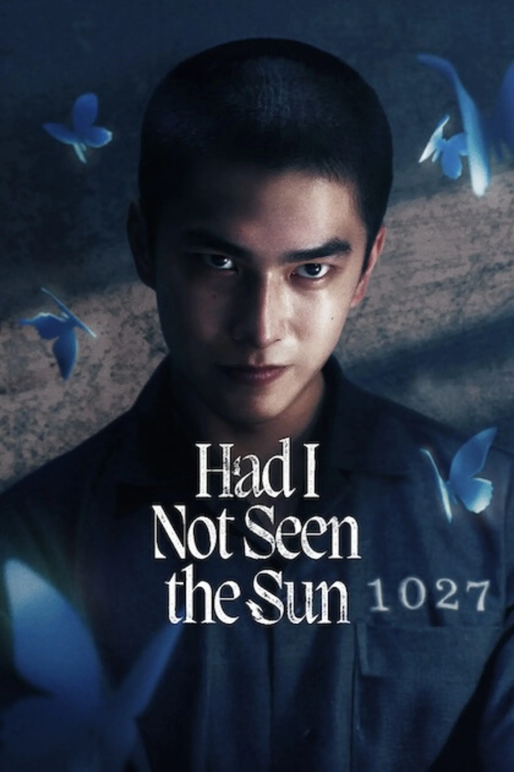 Poster of Had I Not Seen the Sun