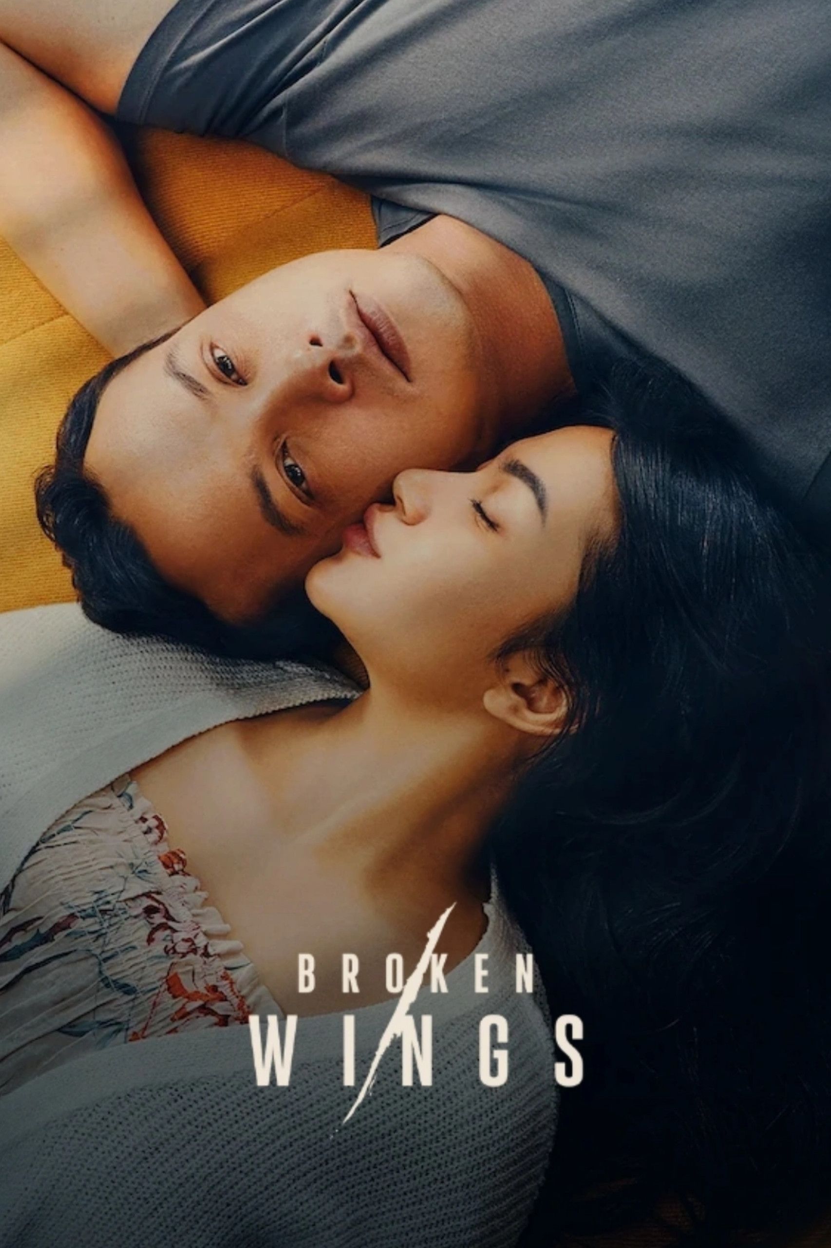 Poster of the movie Broken Wings