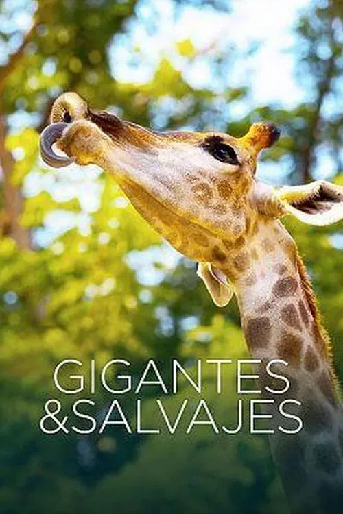 Poster of Gigantes y salvajes