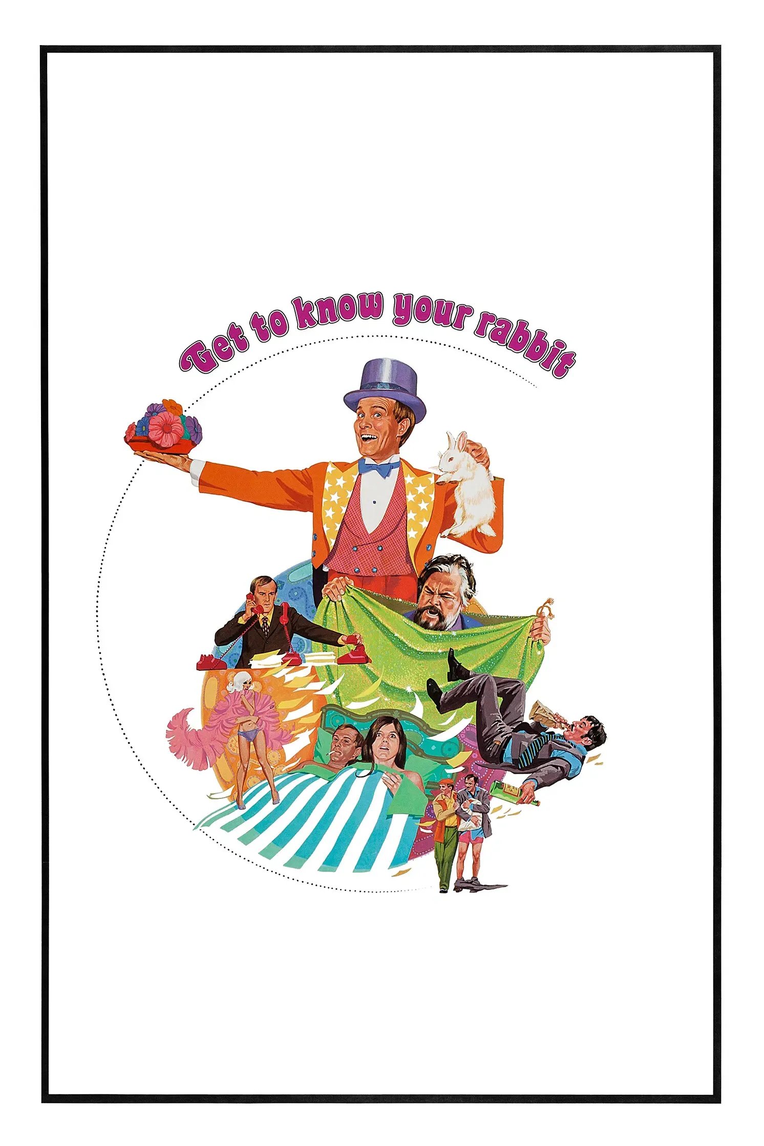 Poster of the movie Get to Know Your Rabbit