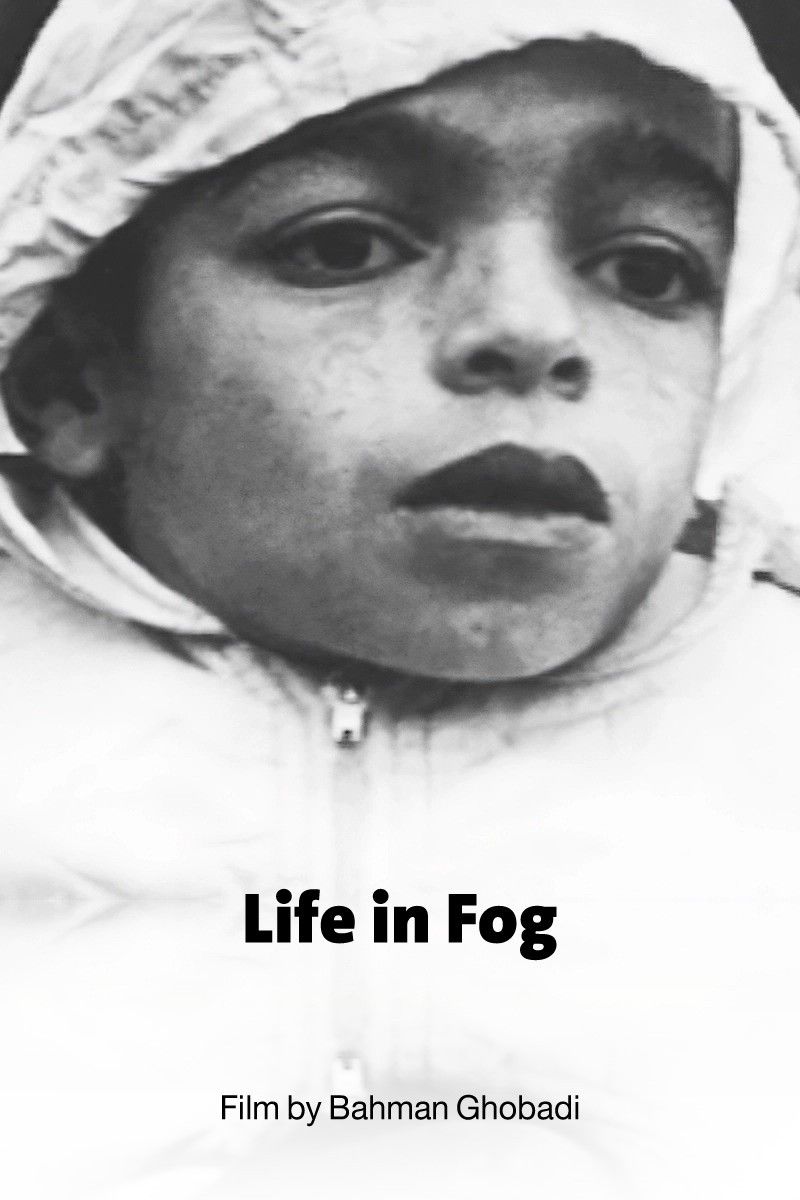 Poster of the movie Life in Fog