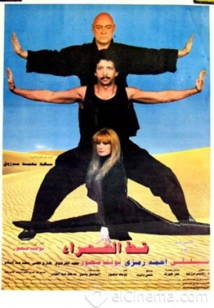 Poster of the movie Desert Cat