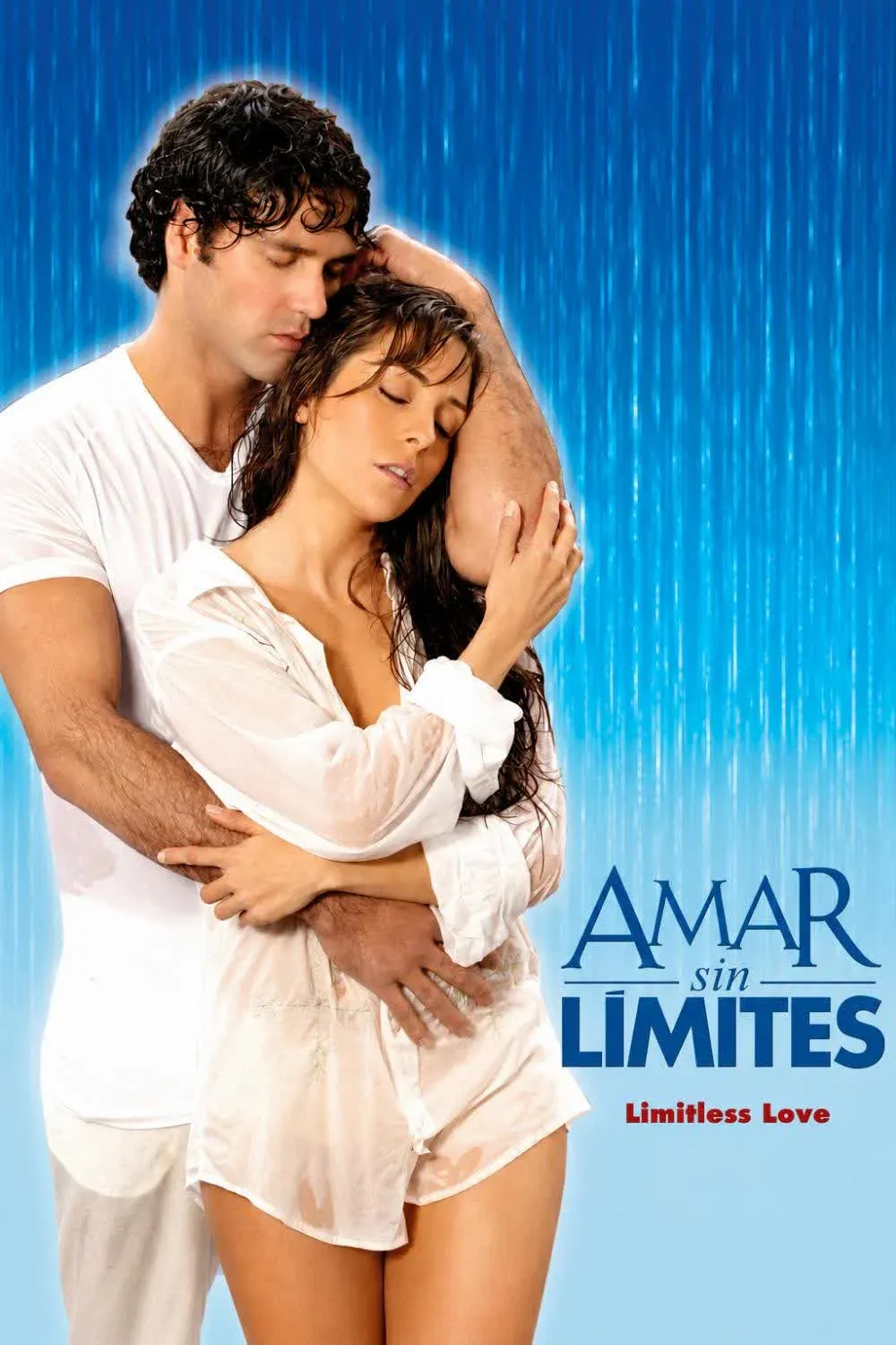 Poster of Amar sin límites