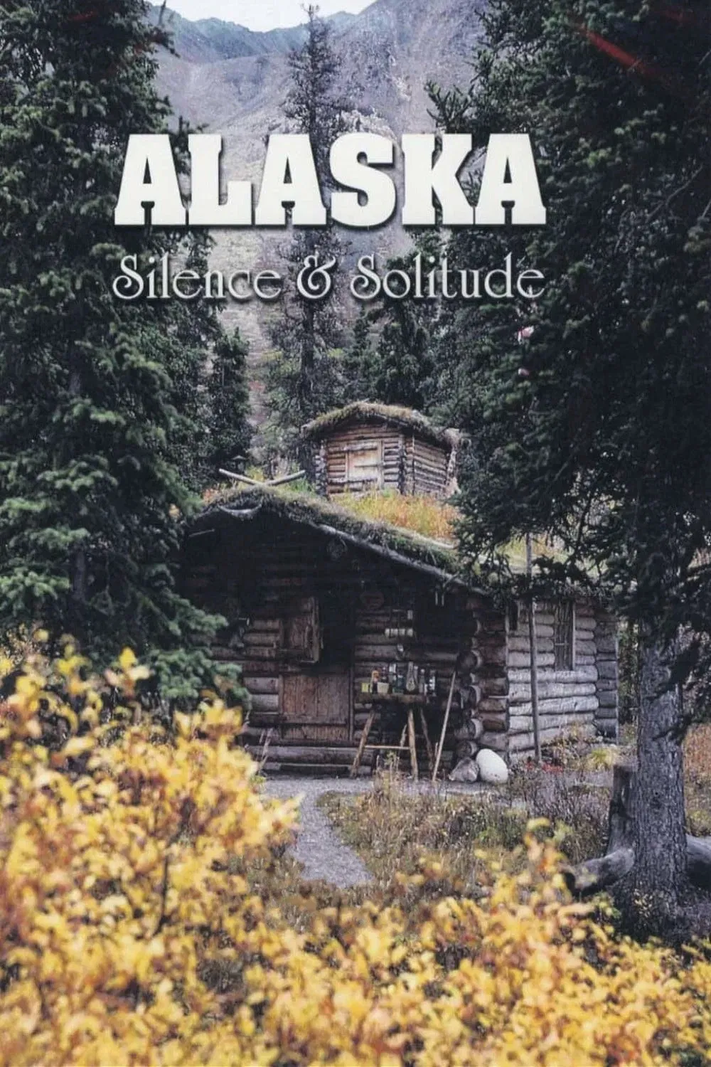 Poster of the movie Alaska: Silence & Solitude