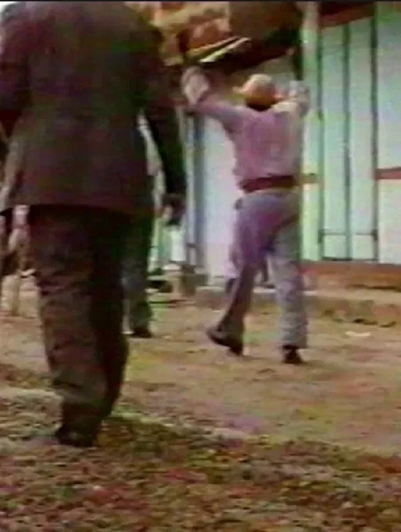 Poster of the movie Nou Voix