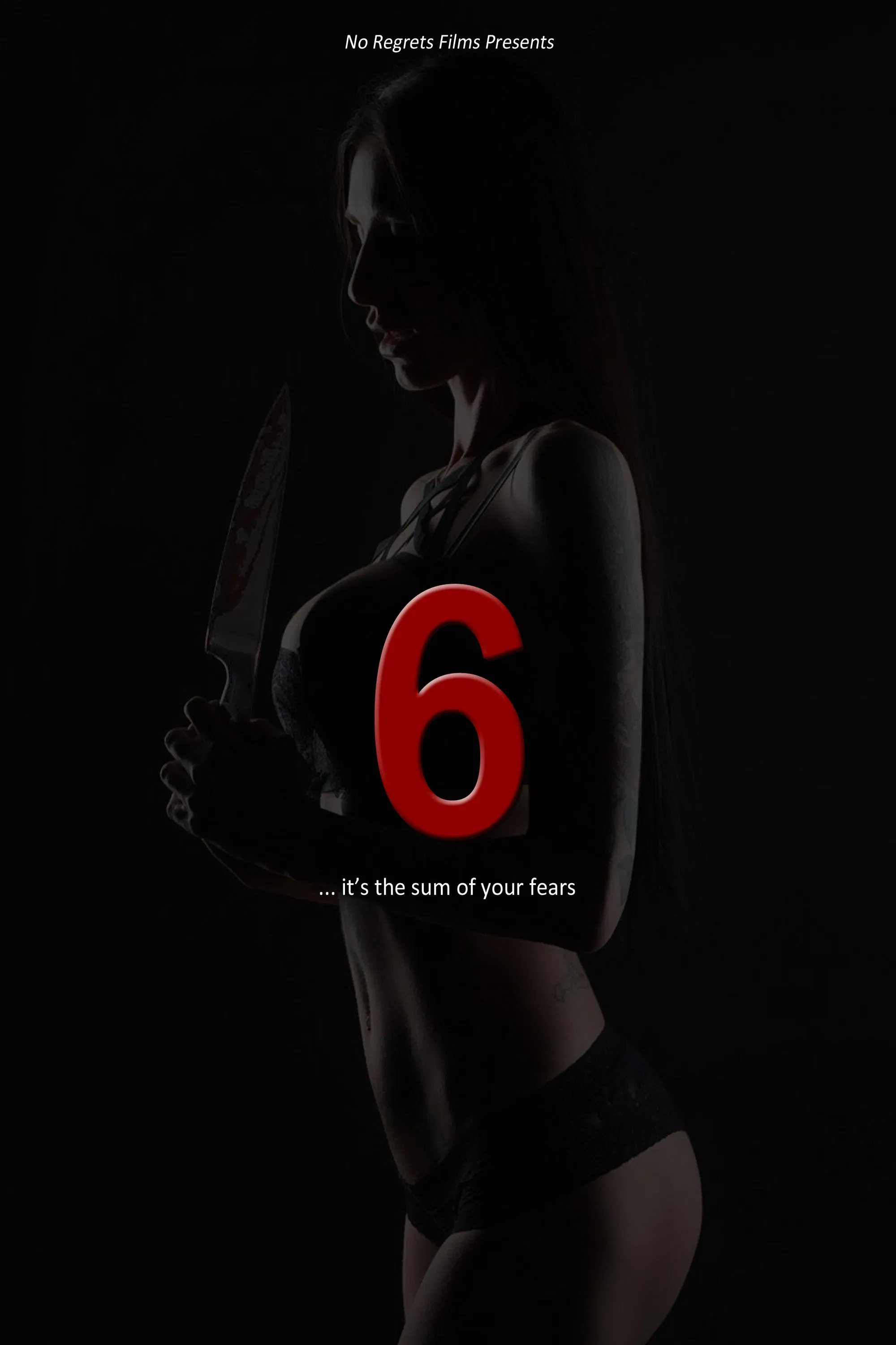 Poster of the movie 6