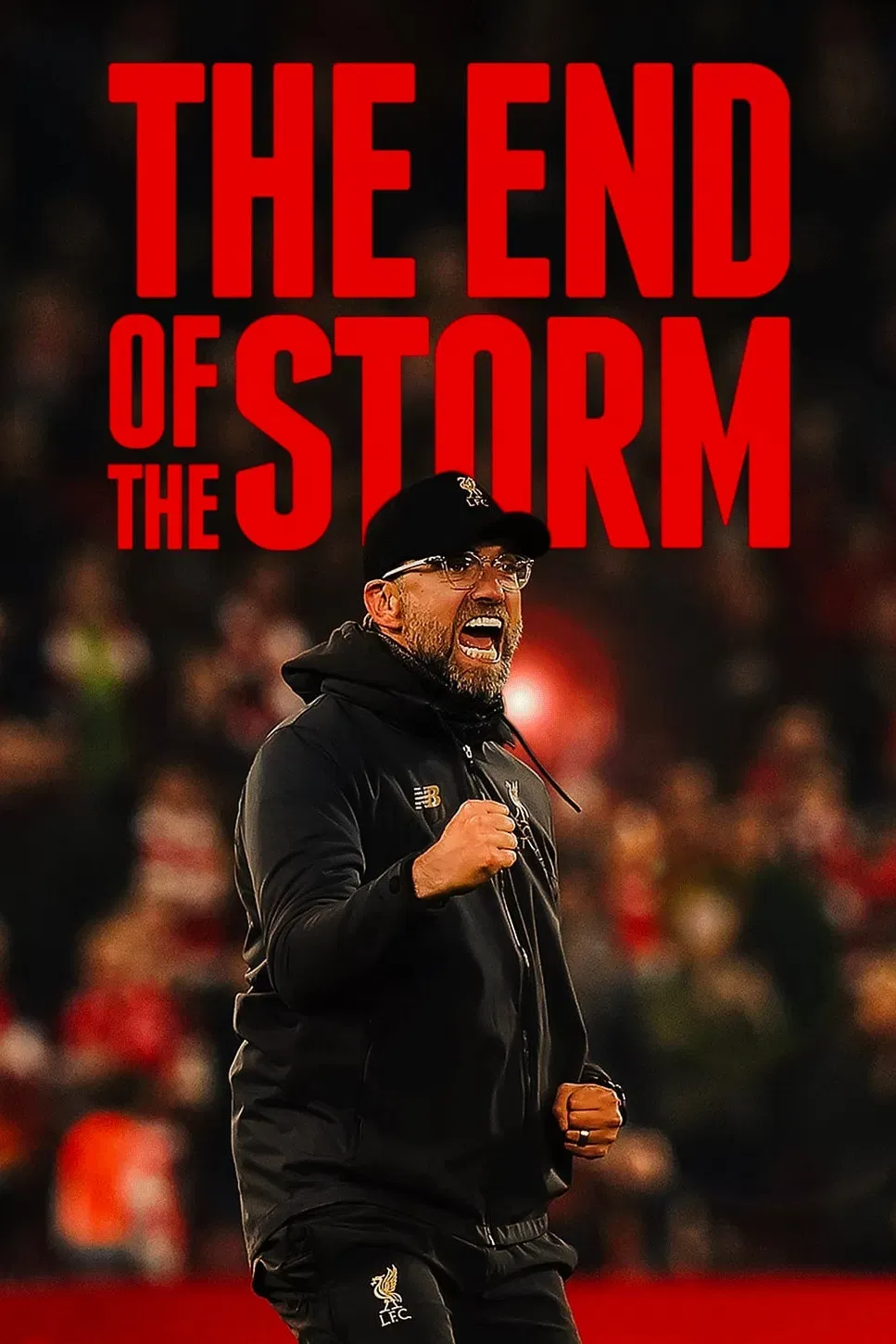 Poster of the movie The End of the Storm