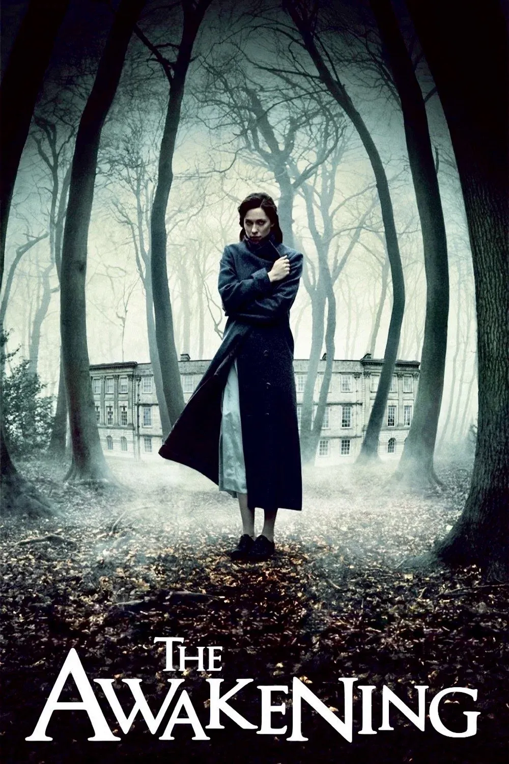 Poster of the movie The Awakening