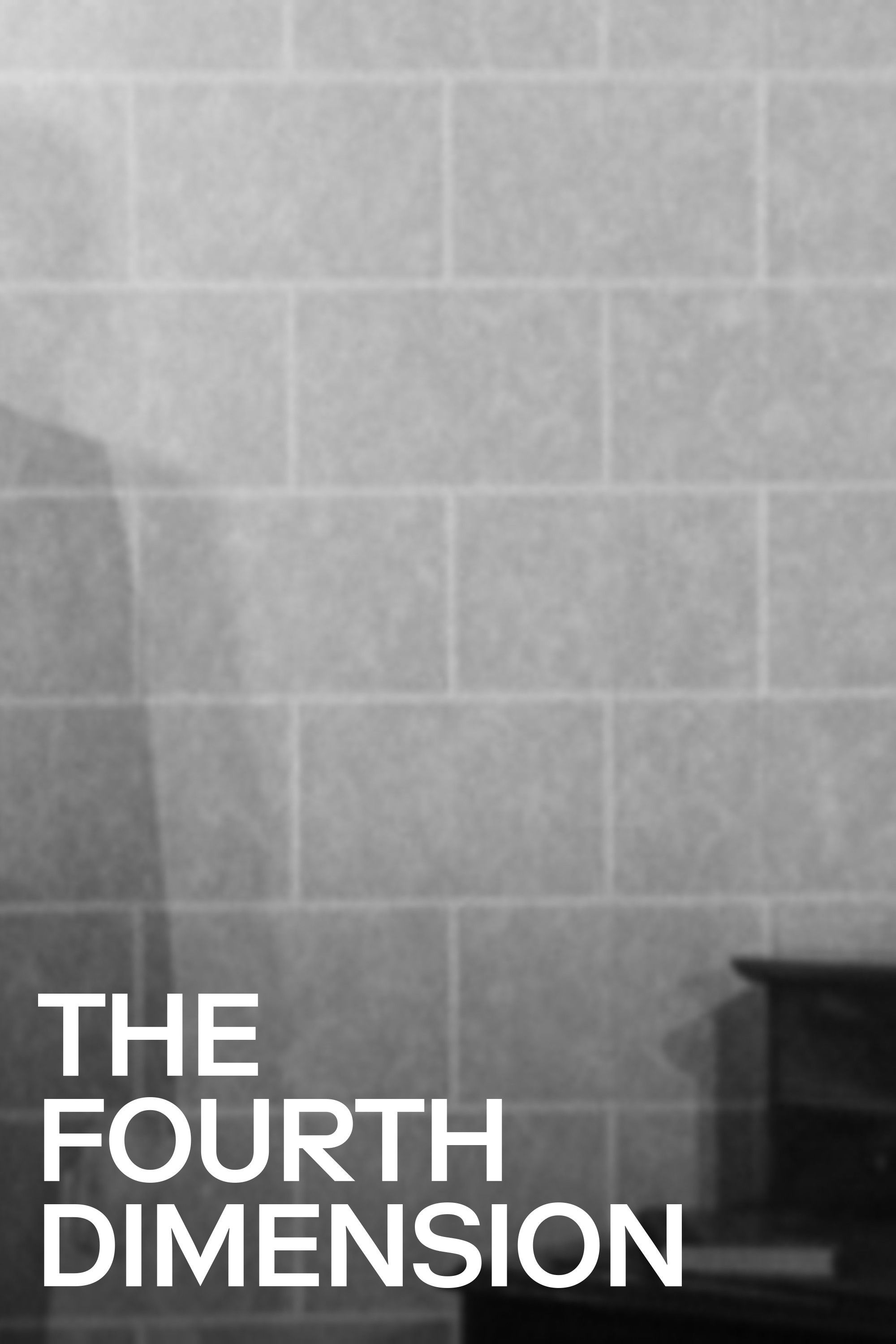 Poster of the movie The Fourth Dimension